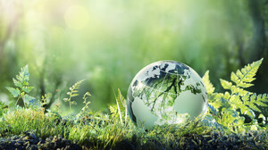 Novellierung F-Gase-Verordnung 2023/2024